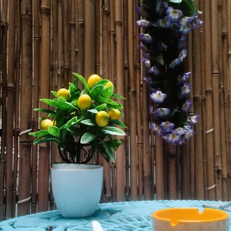 Room&chiaia 게스트하우스 4*